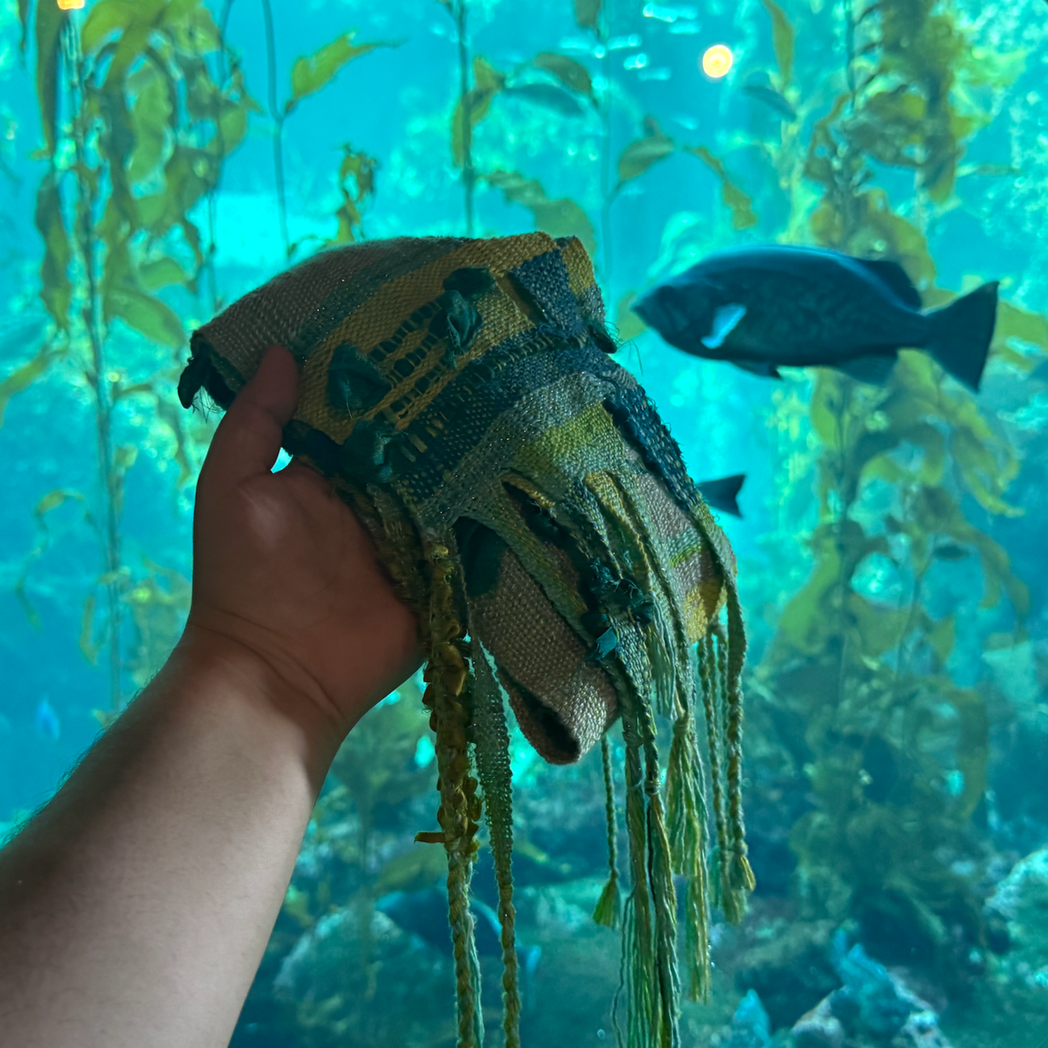 Kelp Scarf