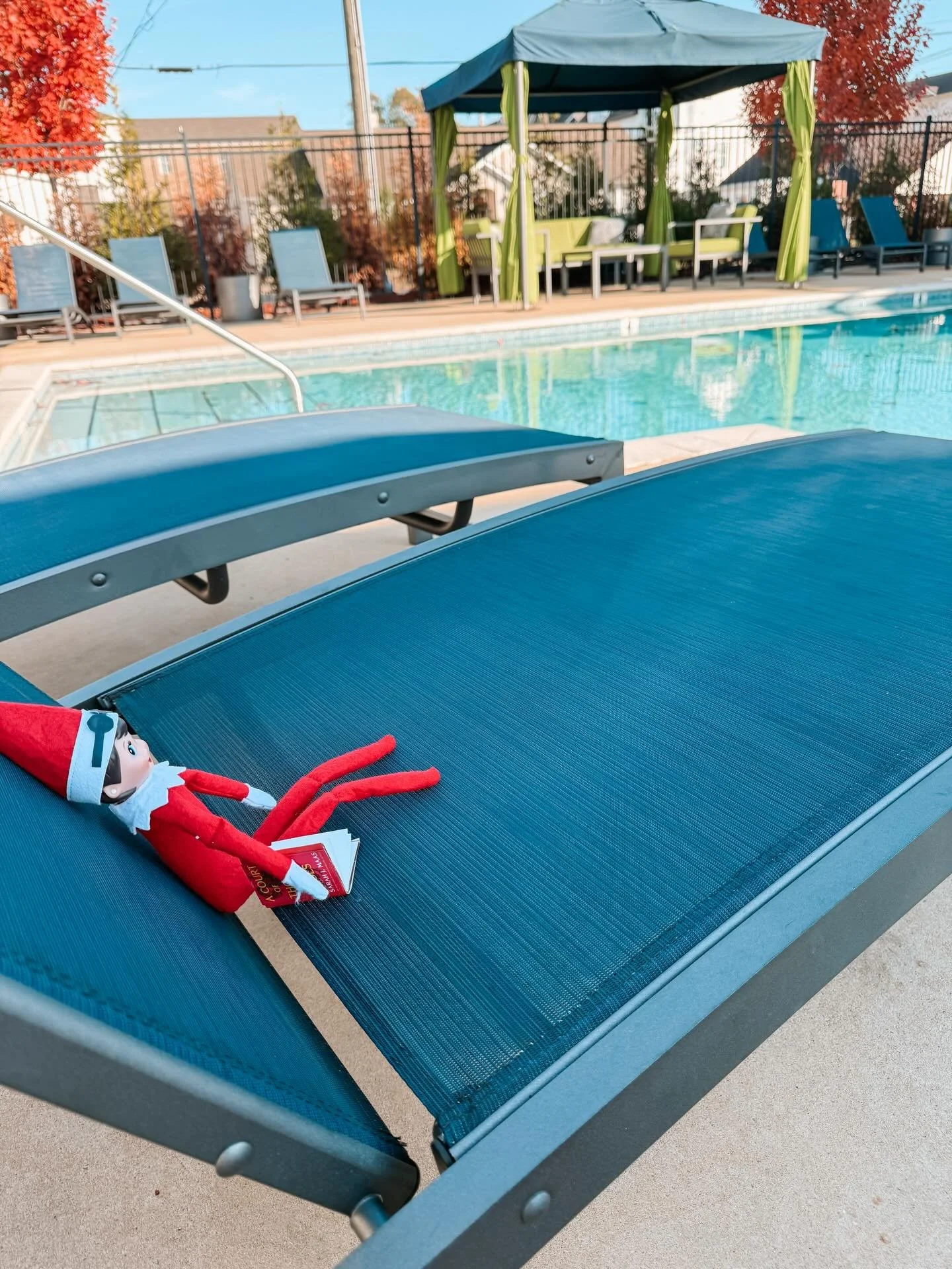Elise wanted a pool day&hellip; but it&rsquo;s a little too chilly for that! She cannot wait until Summer days🕶️🏊&zwj;♂️