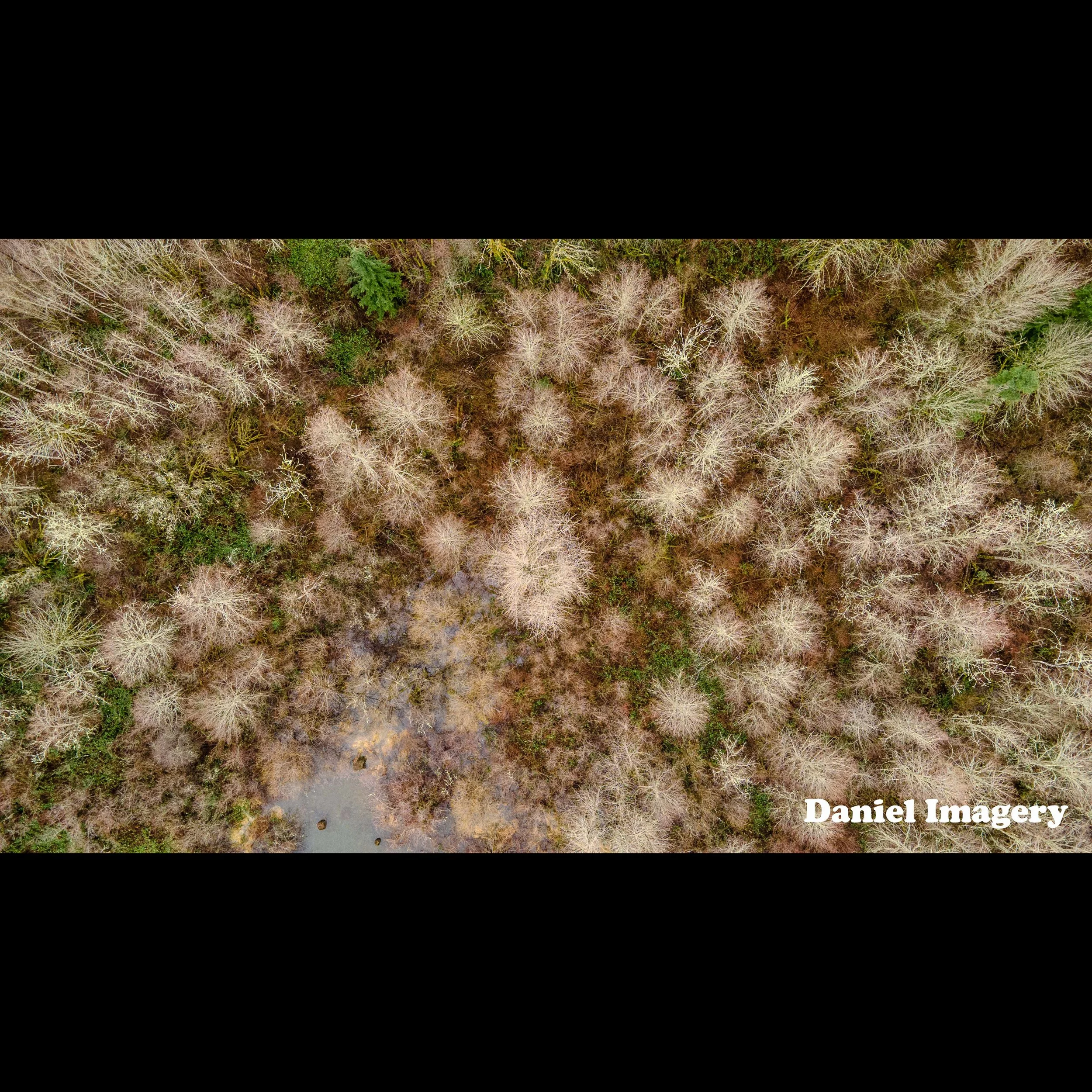 Rattlesnake Lake 0811