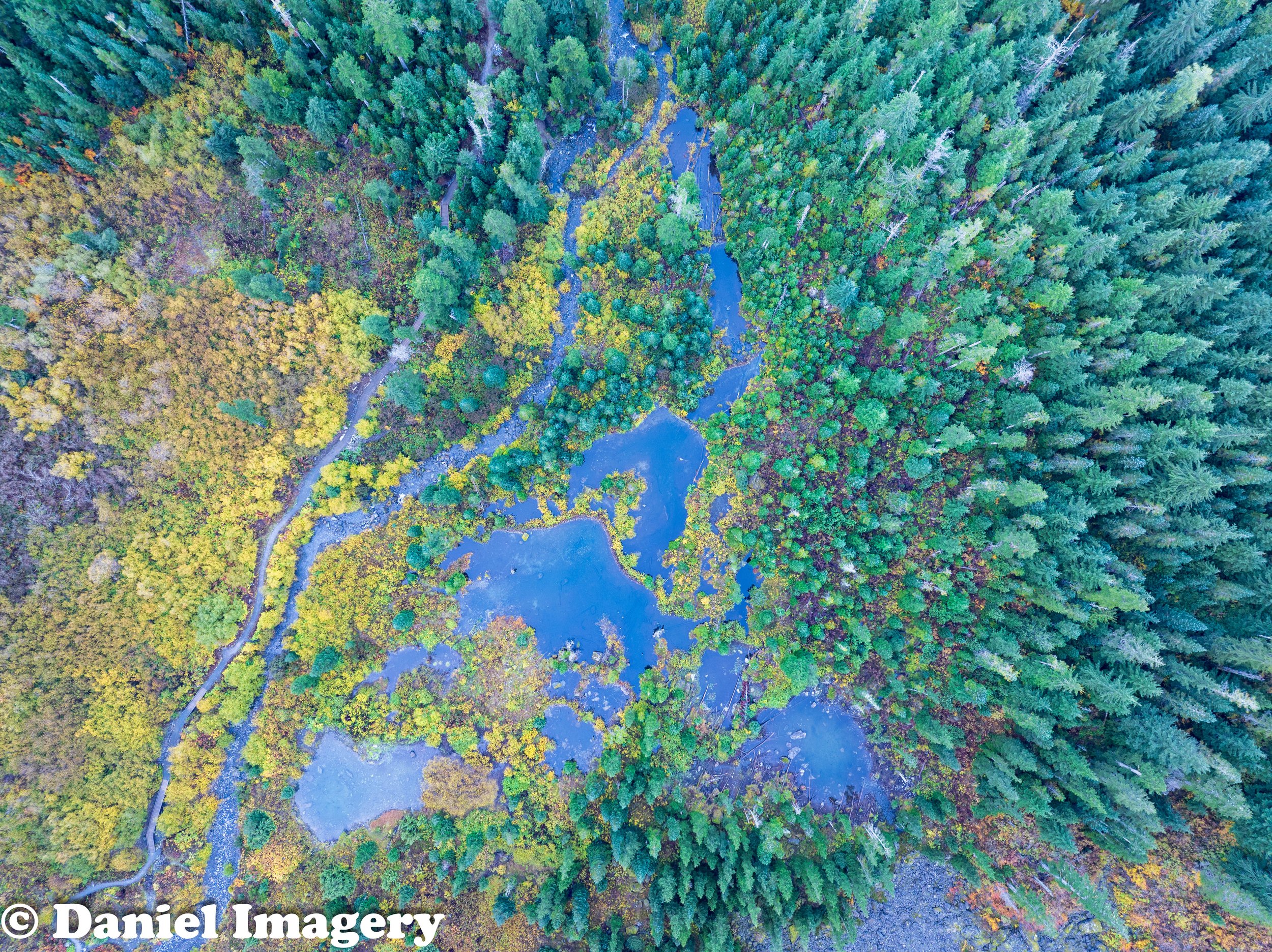 Big_Four_Pond_056_569.jpg