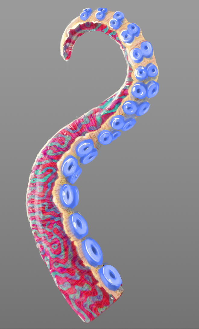 Colour Test -Tentacle 02.png