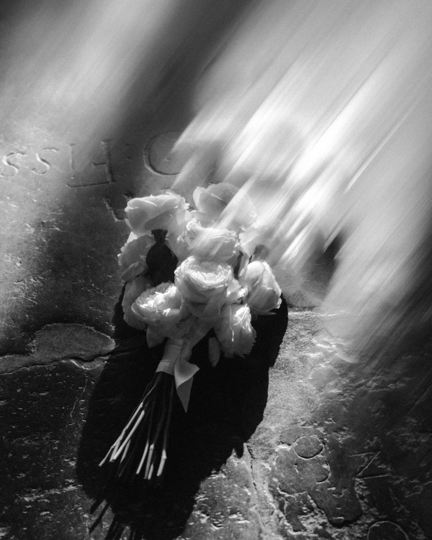 &bull; black and whites from Wouter &amp; Eline