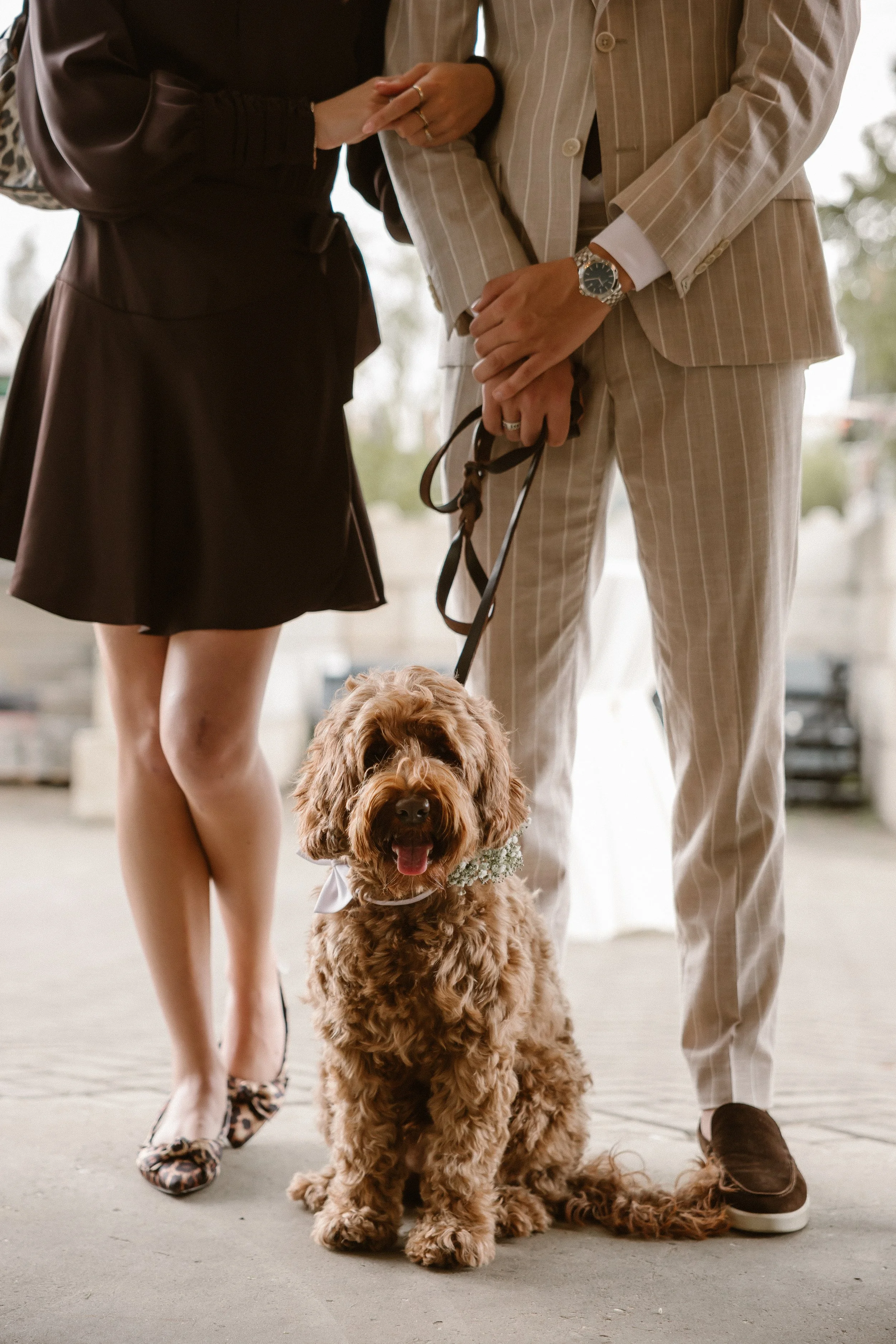 Stephen & Marilène-Baanbeelden-Preview-109.JPG