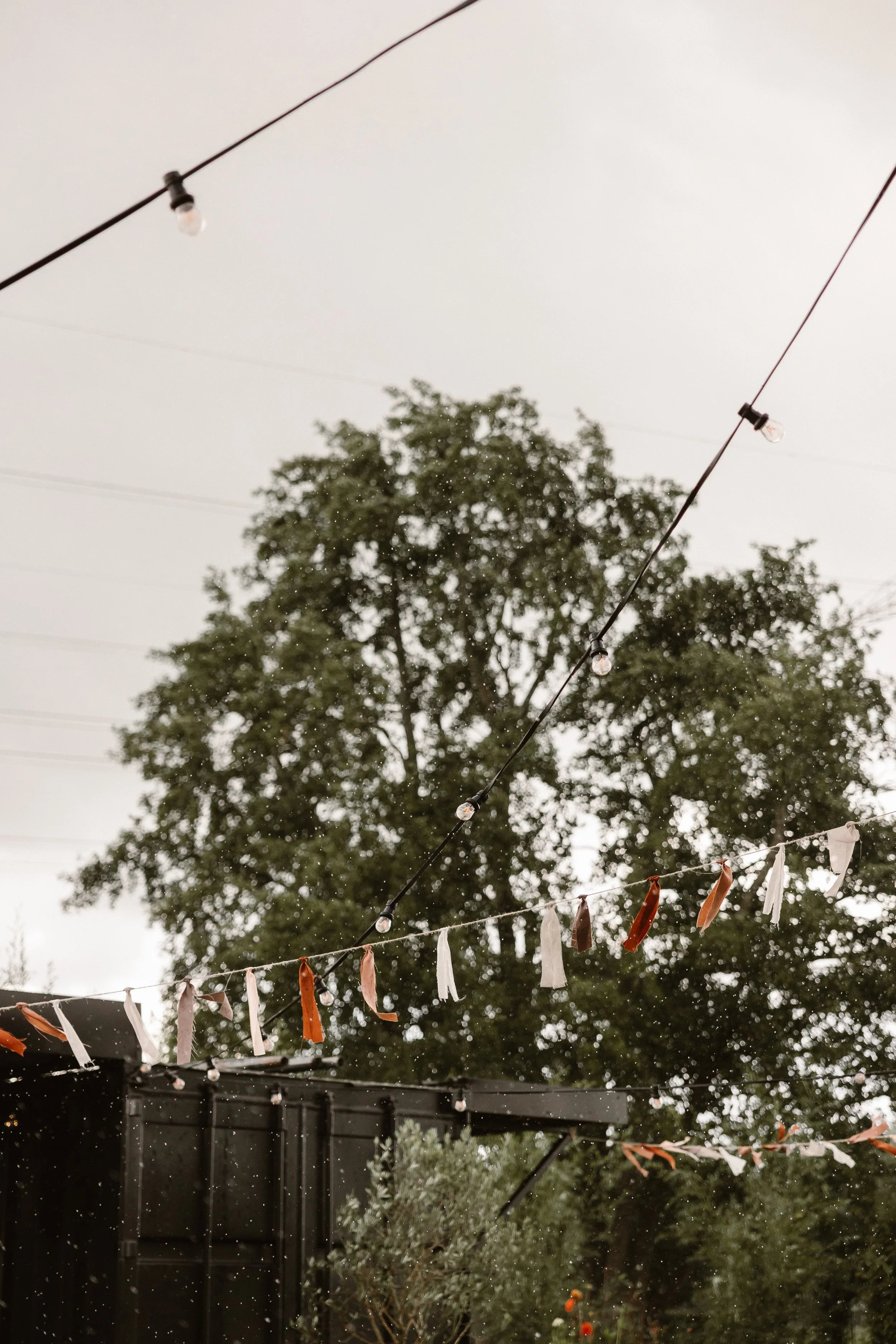 Stephen & Marilène-Baanbeelden-Preview-110.JPG