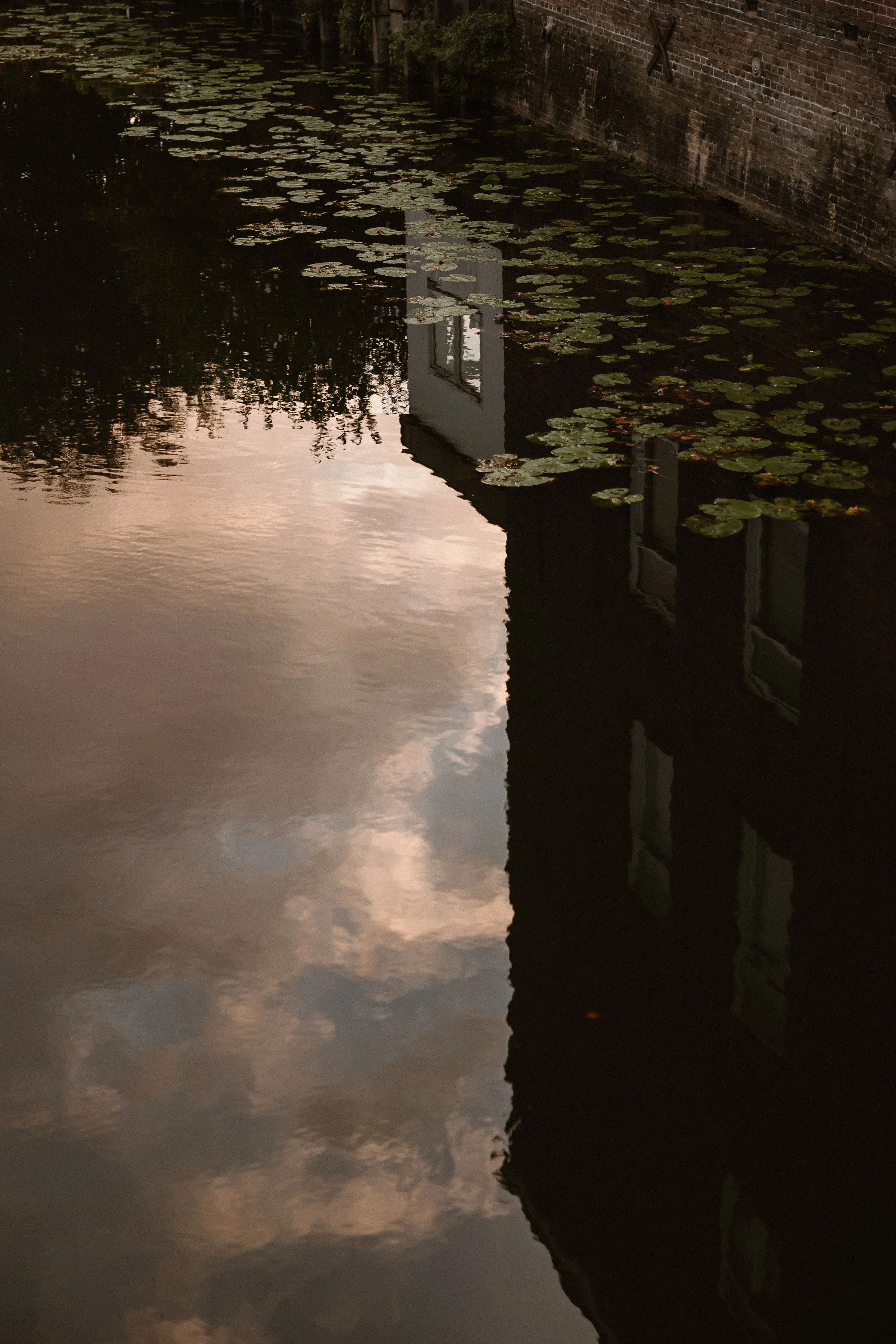 Stephen & Marilène-Baanbeelden-Preview-2.JPG