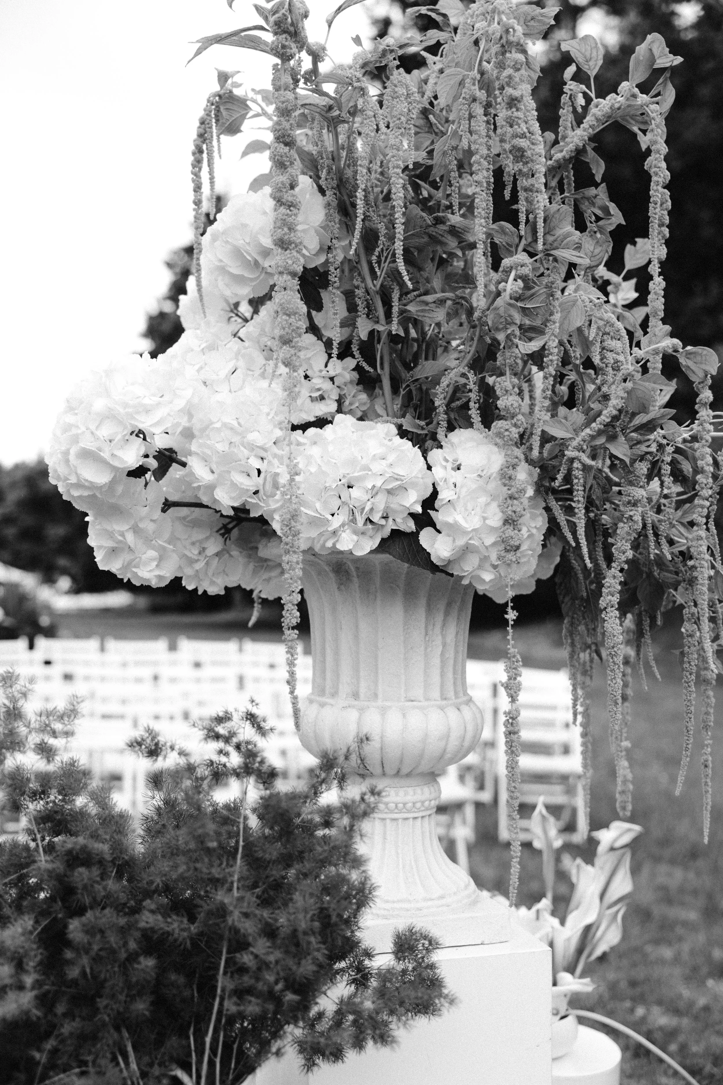 Marc & Madelon-Baanbeelden-753.JPG