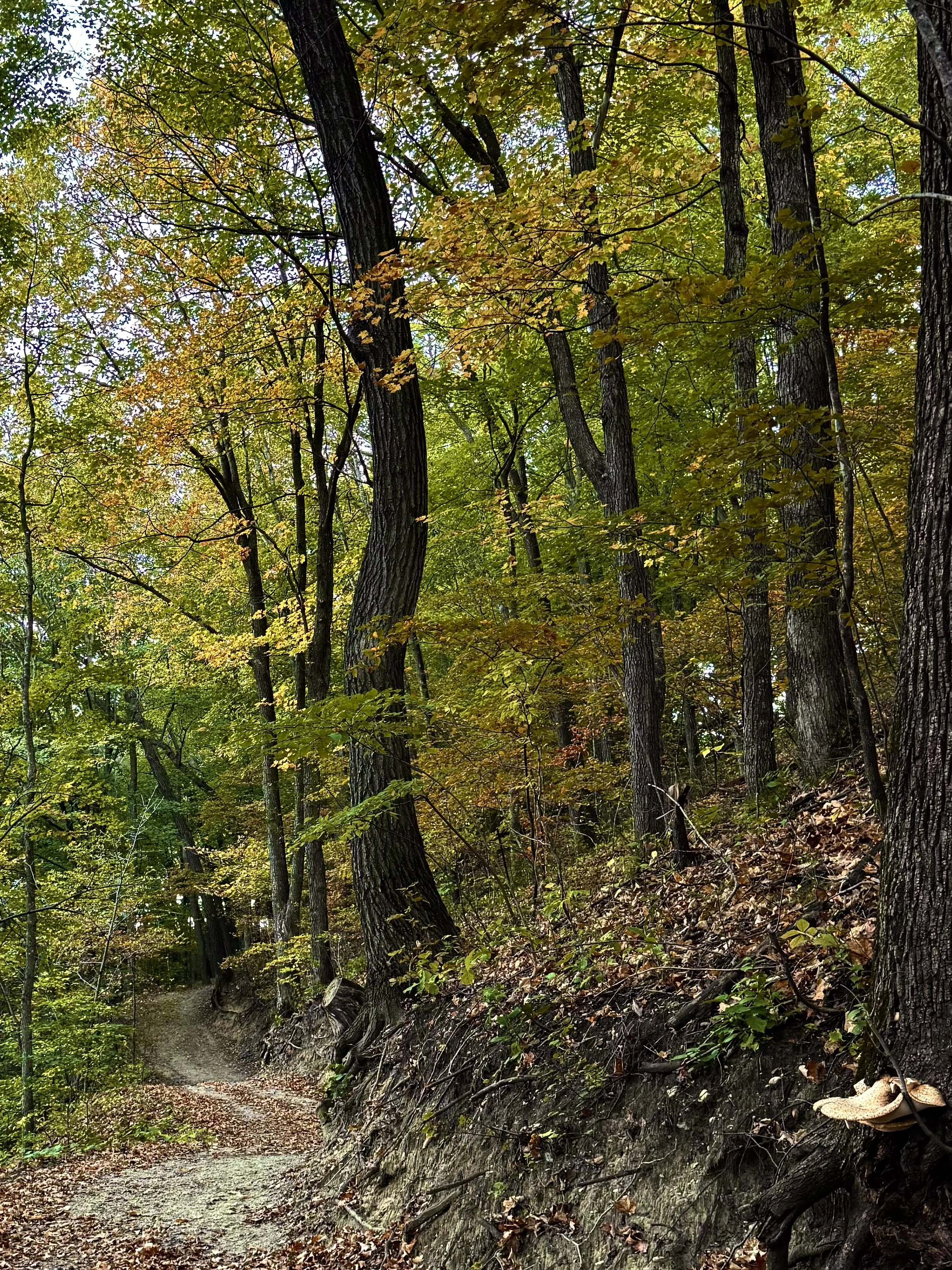 Core Collective {Outdoors}