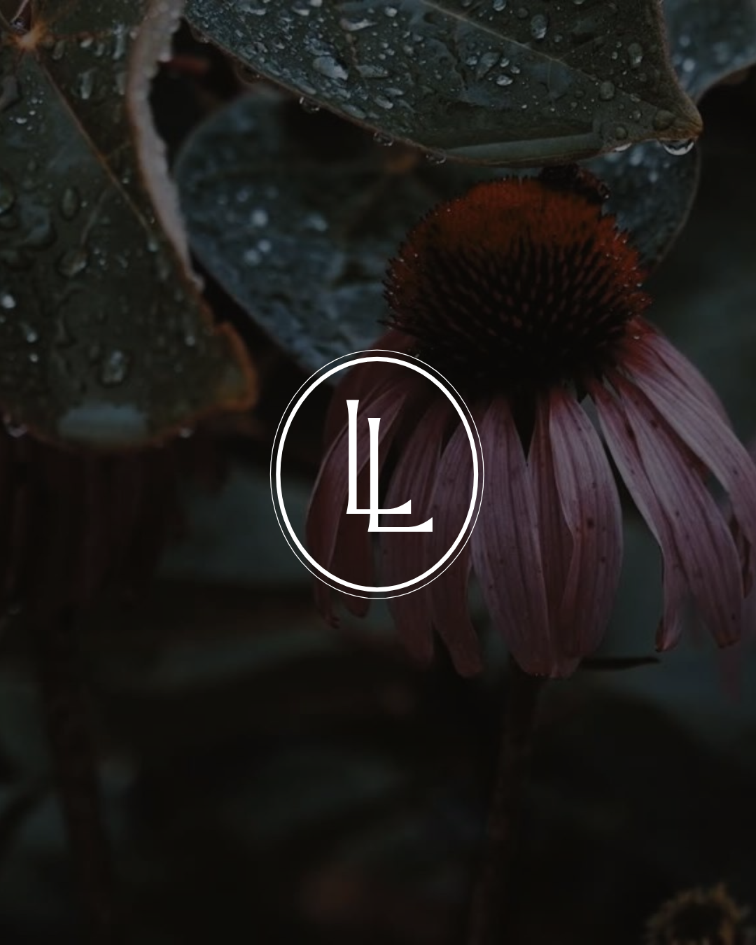 SBI Carousel_Jennifer Riggs.png