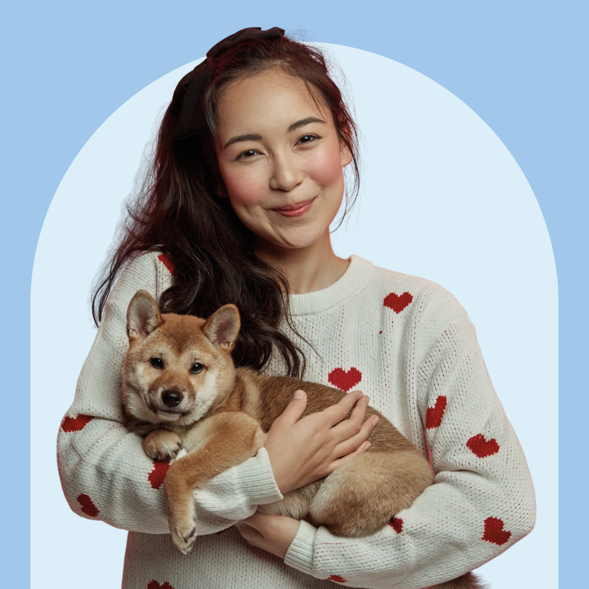 Petsecure Redesign