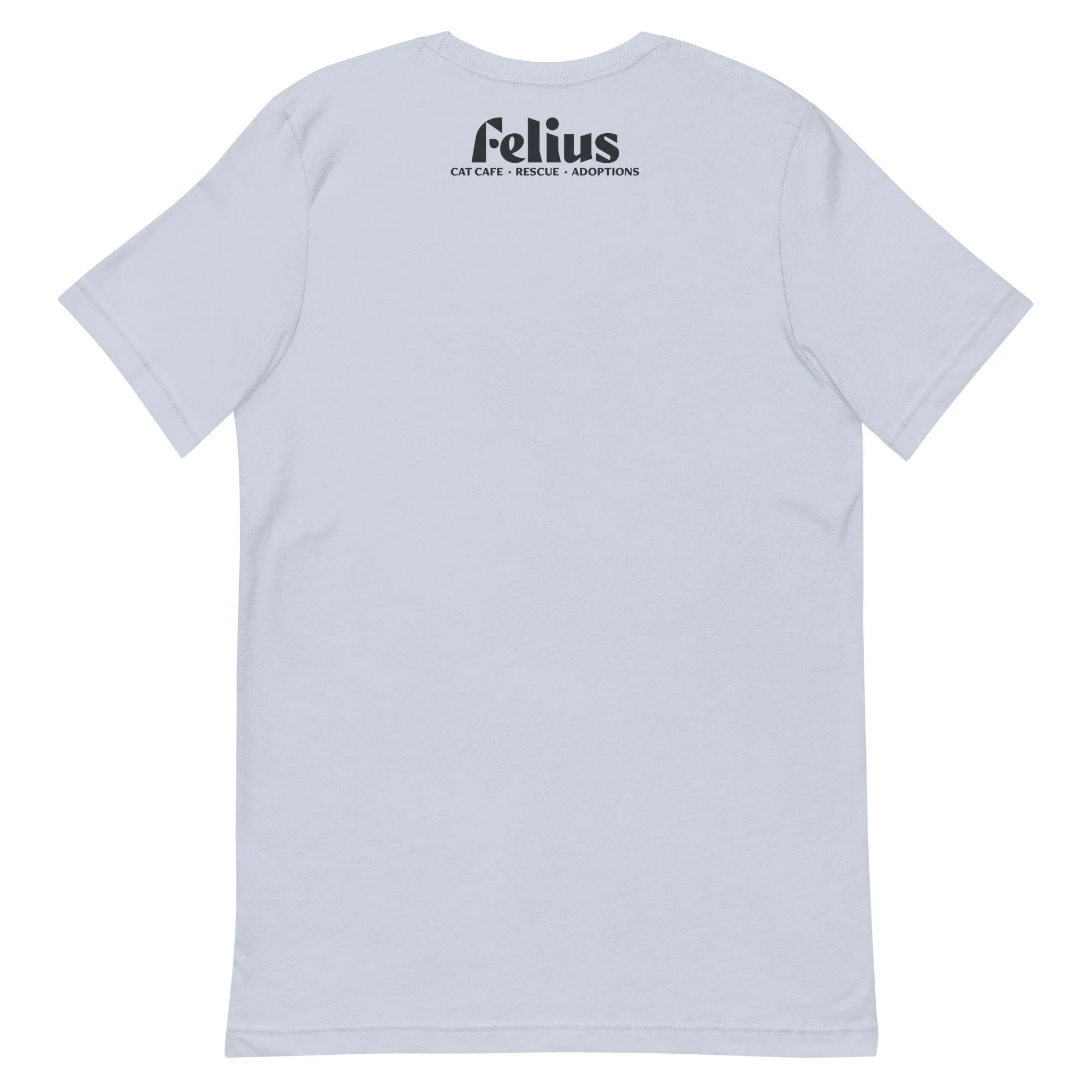 unisex-staple-t-shirt-light-blue-back-664ab0239acc0.jpg