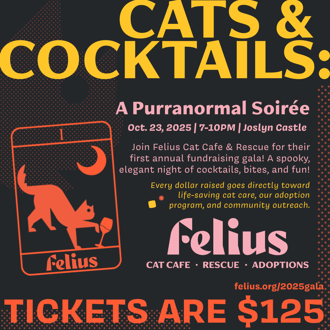 Cats & Cocktails Gala: A Purranormal Soiree
