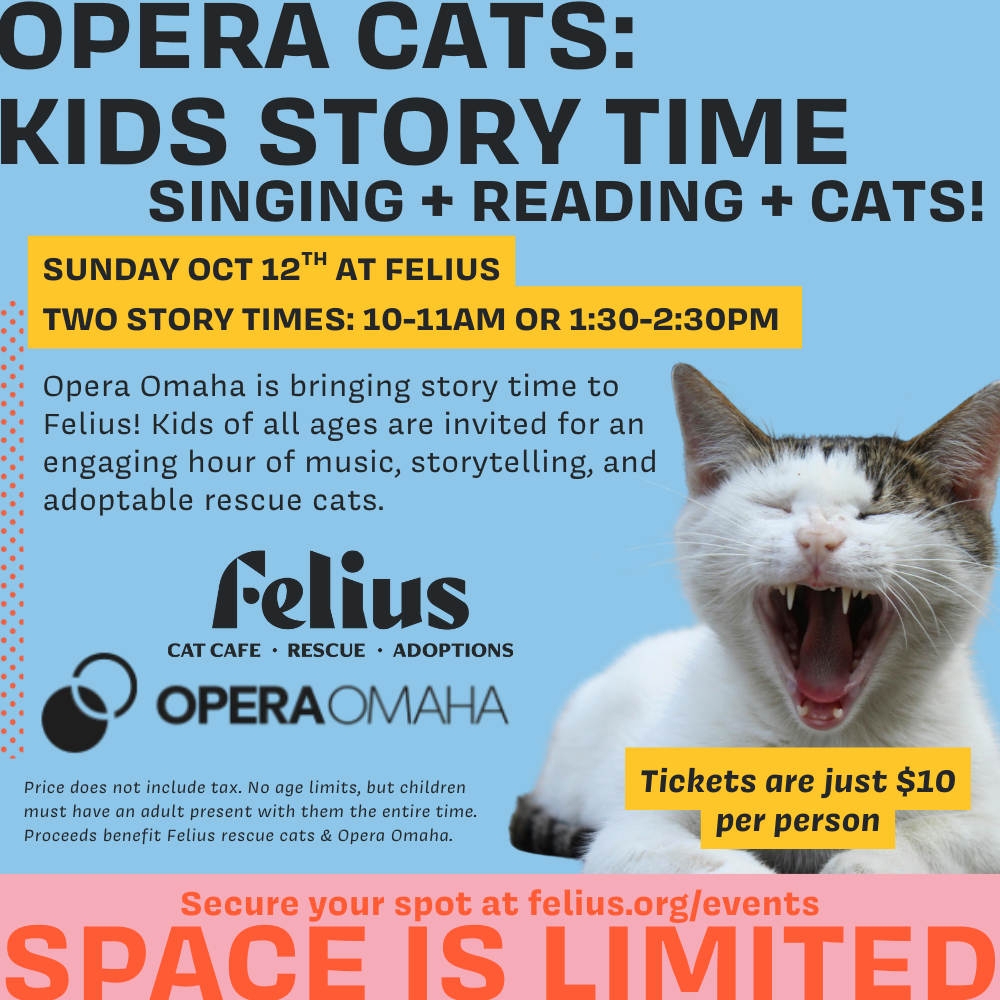 Opera Cats: Kids Story Time at Felius!