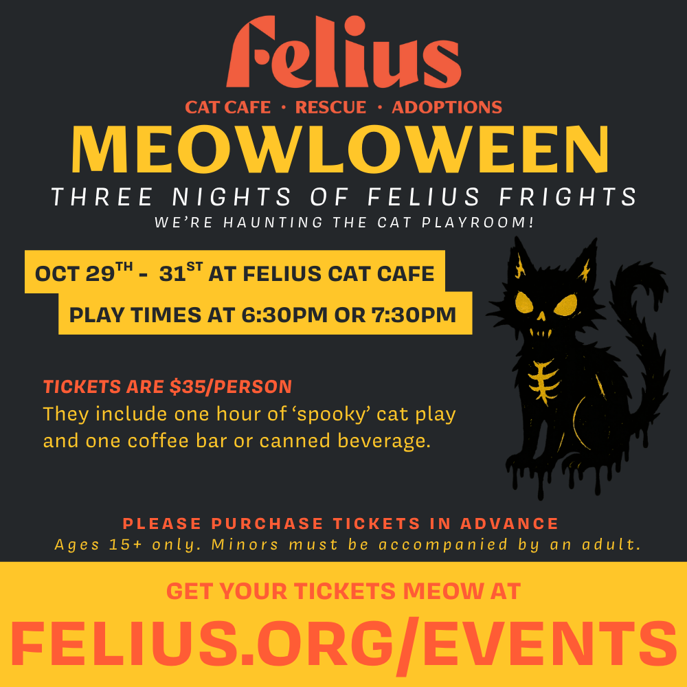 Meowloween: Three nights of Felius frights!