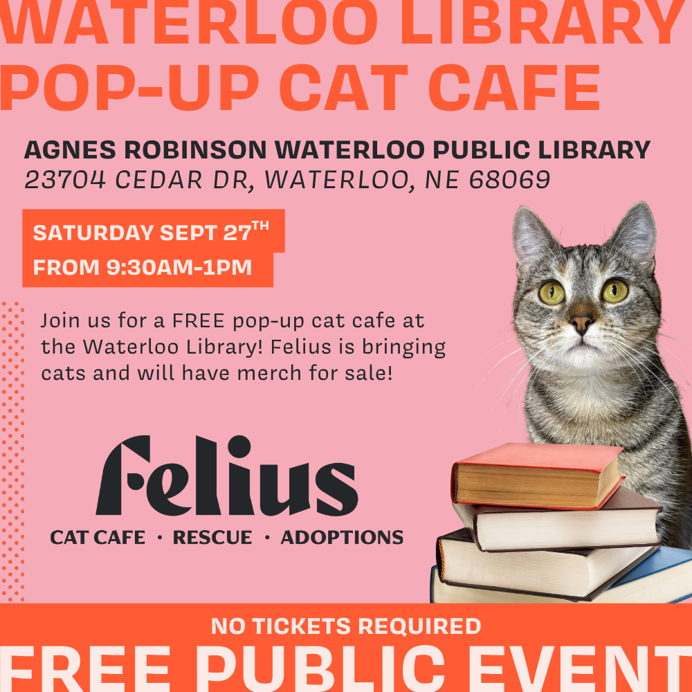 Waterloo Library Pop-up Cat Cafe with Felius