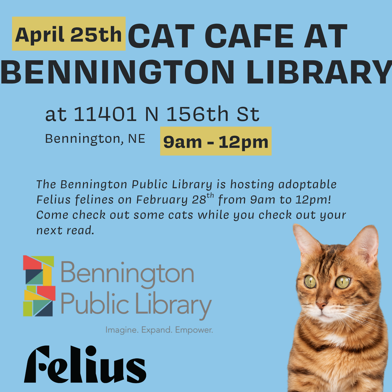Cat Cafe at the Bennington Public Library