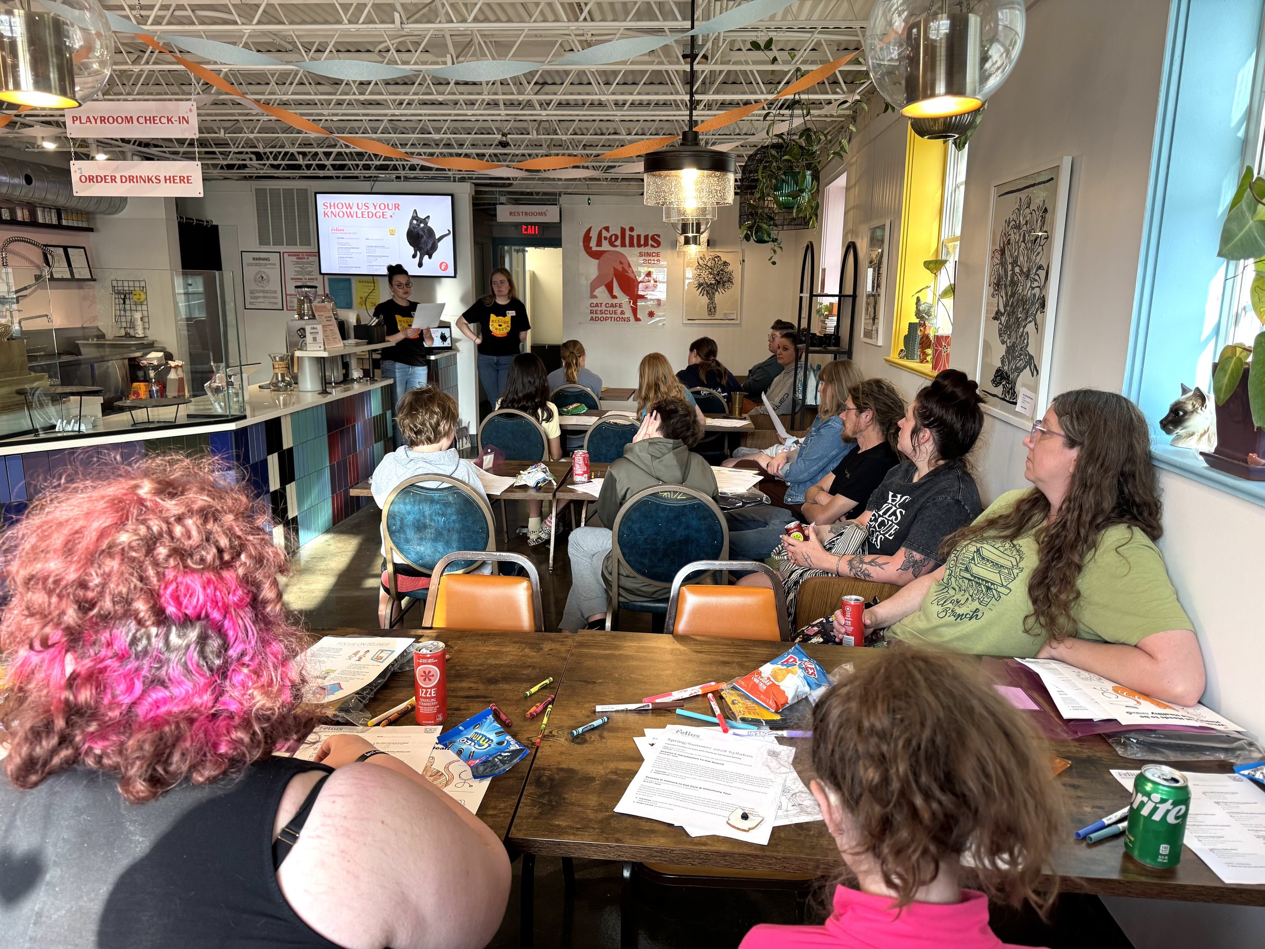 Rescue Rangers Has Officially Launched… But We're Just Getting Started!