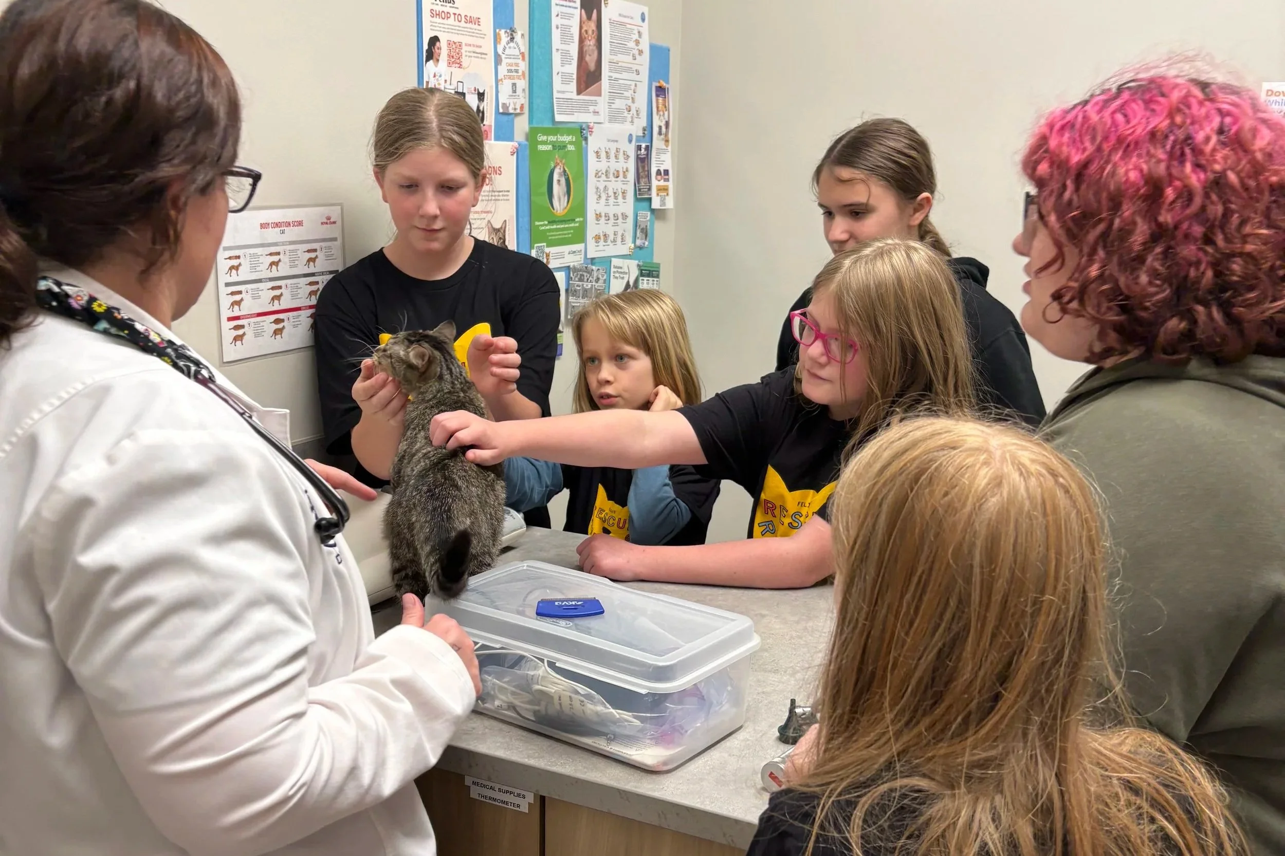 Rescue Rangers Head to the Clinic