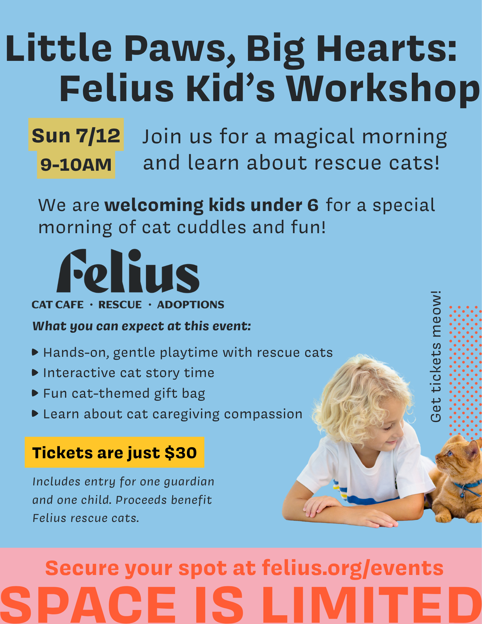 Kid’s Kitten Kindness Workshop