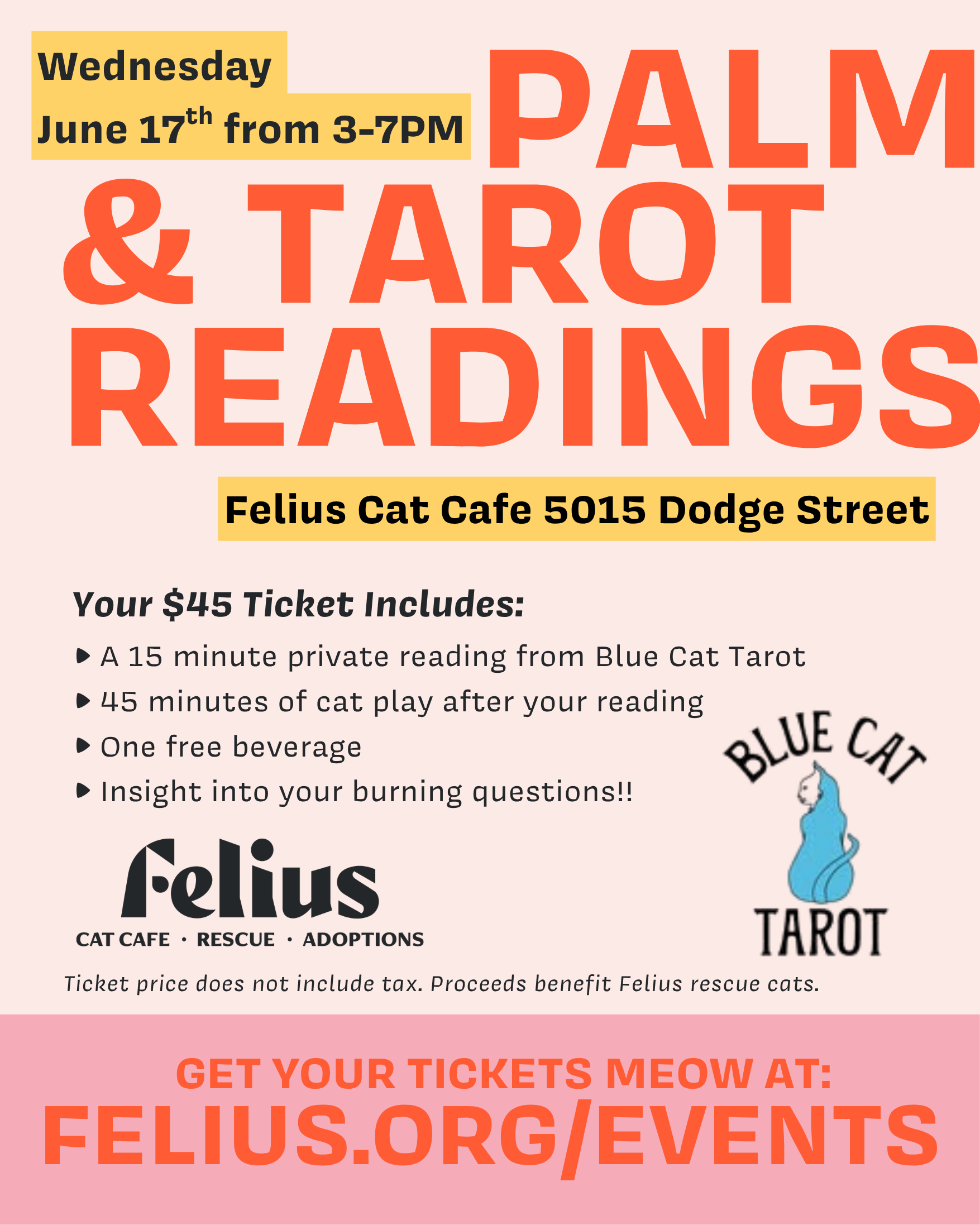Intuitive Readings with Blue Cat Tarot