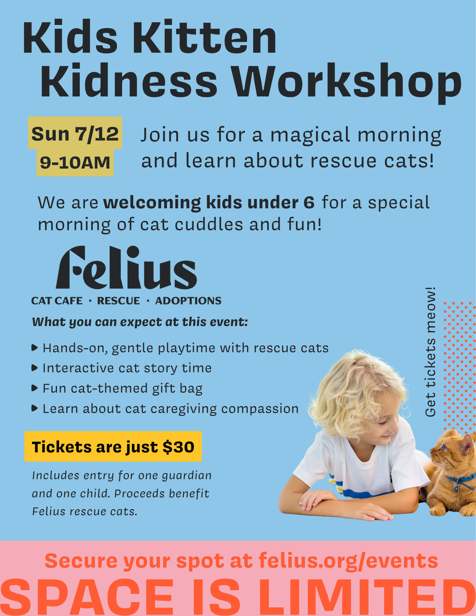 Kid’s Kitten Kindness Workshop