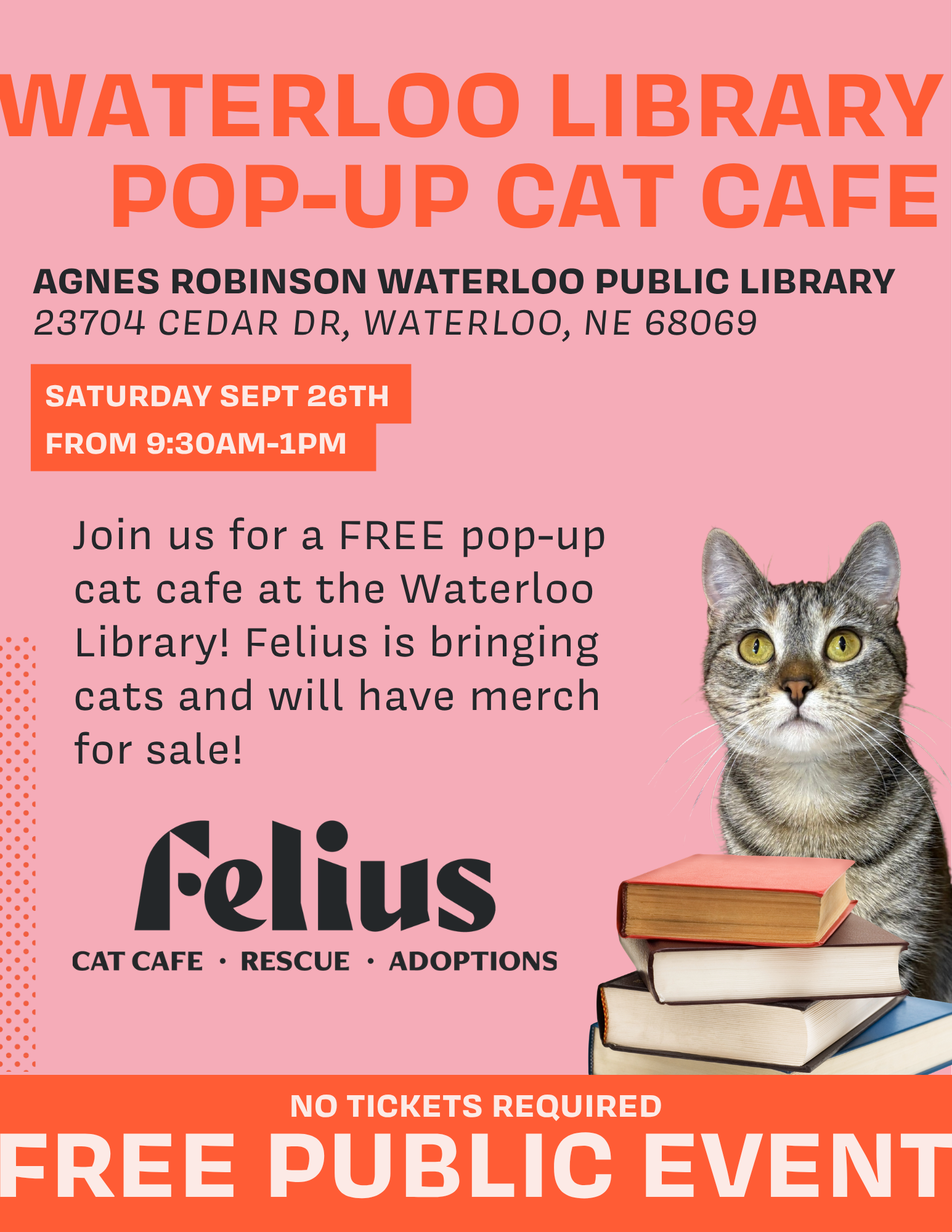 Waterloo Library Pop-up Cat Cafe