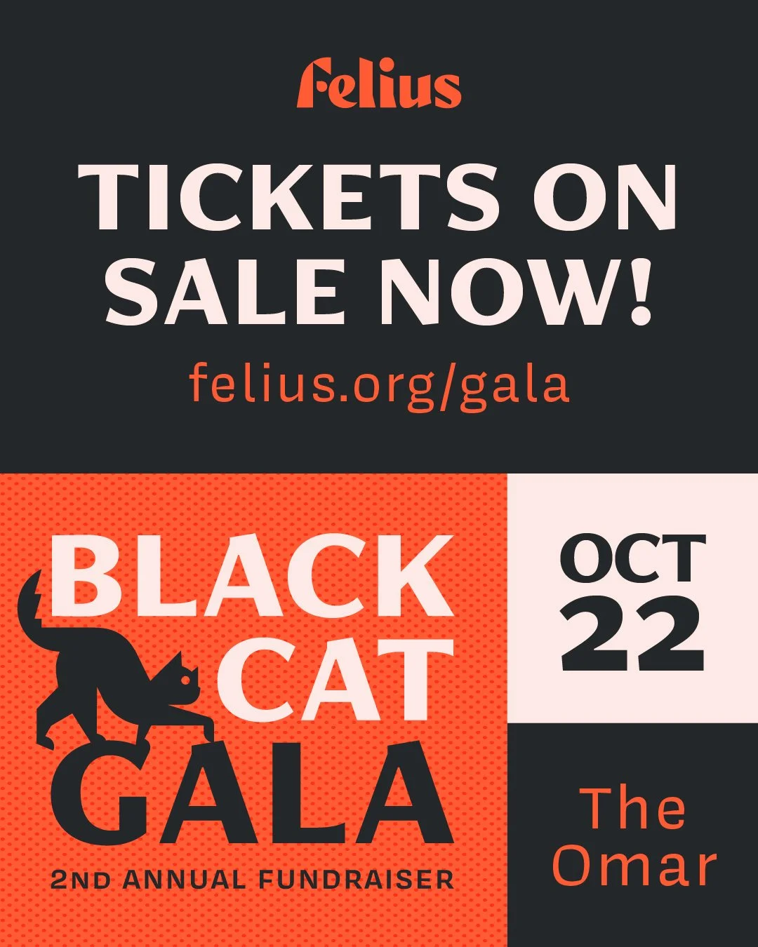 Felius 2026 Black Cat Gala