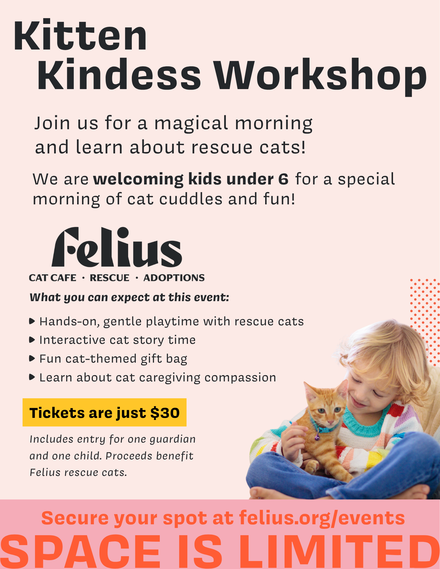 Kitten Kindness Workshop