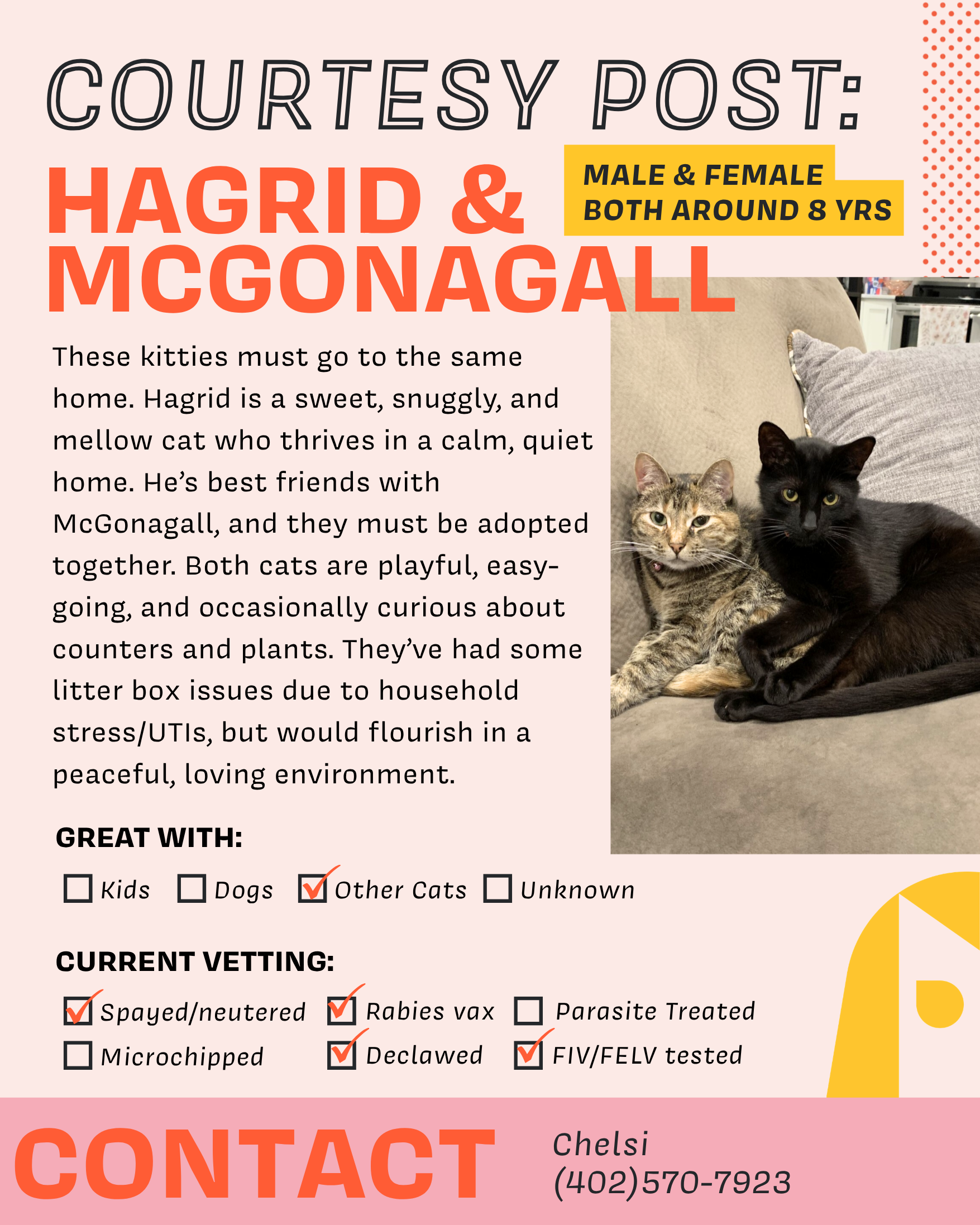 Hagrid & McGonagall.png