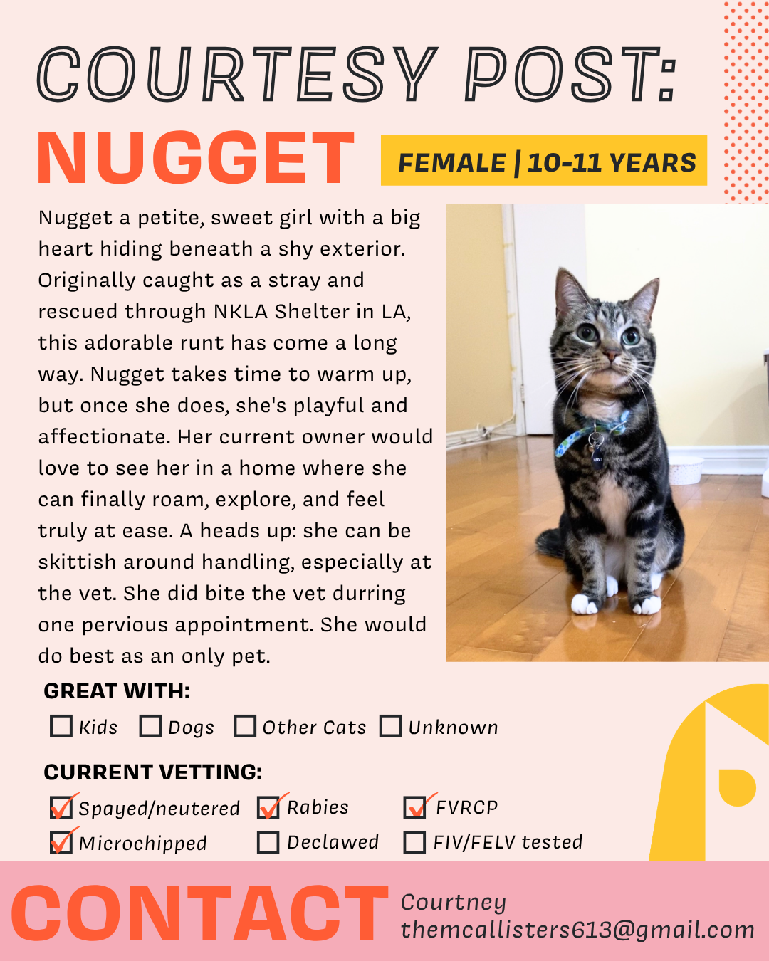 Nugget (2).png