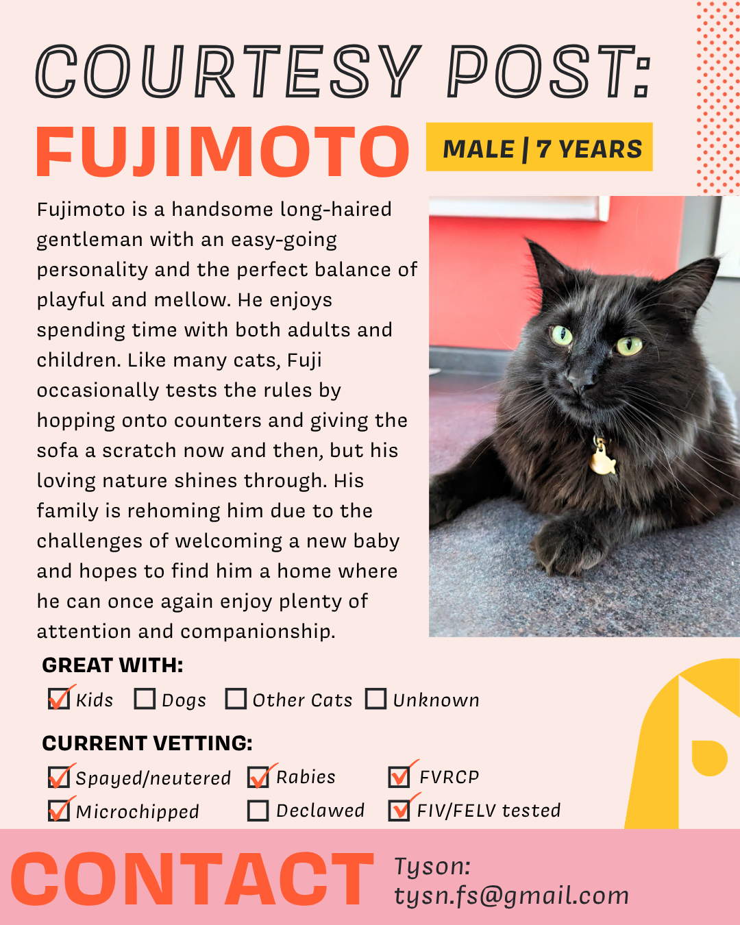 Fujimoto.png