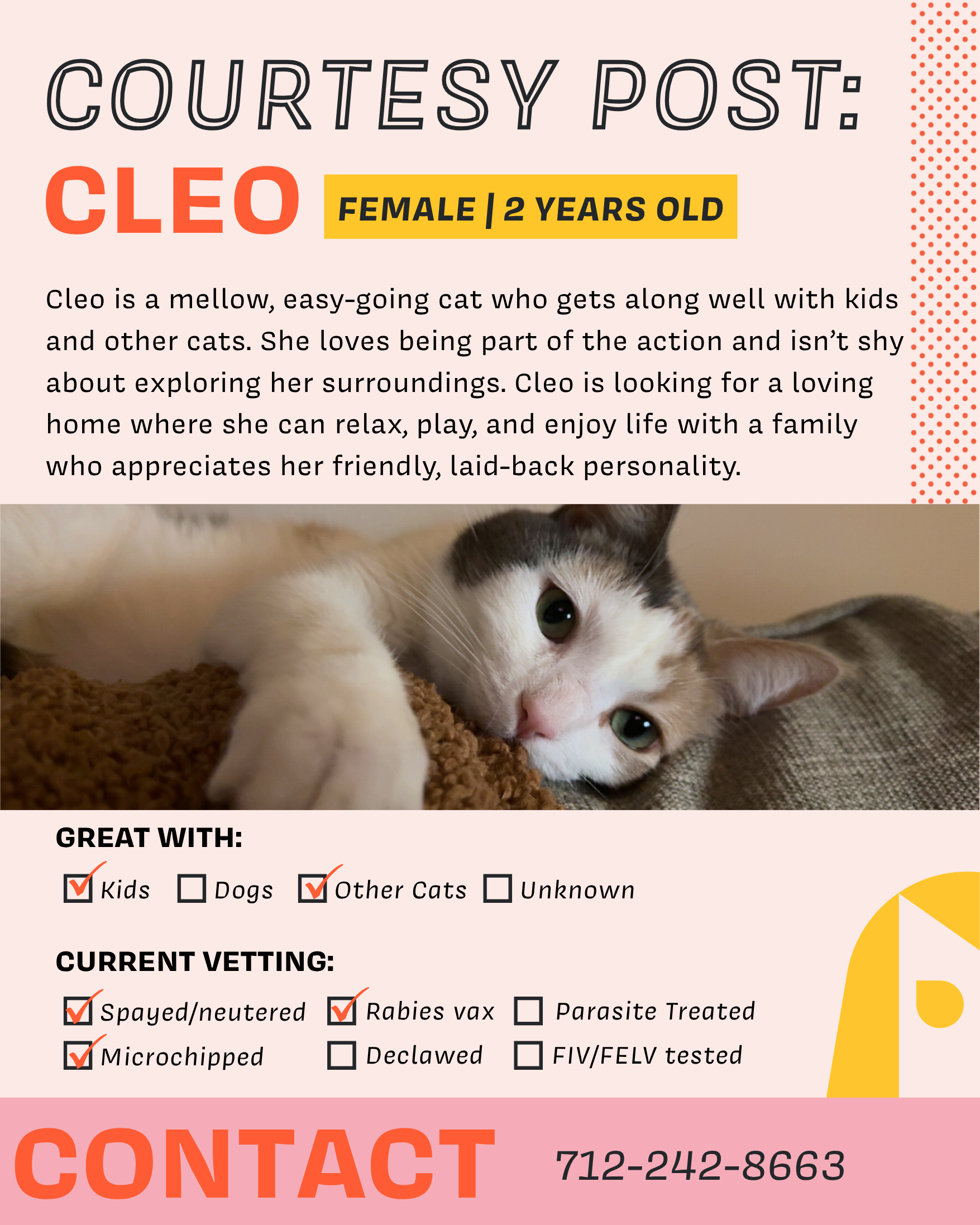 Cleo (1).png