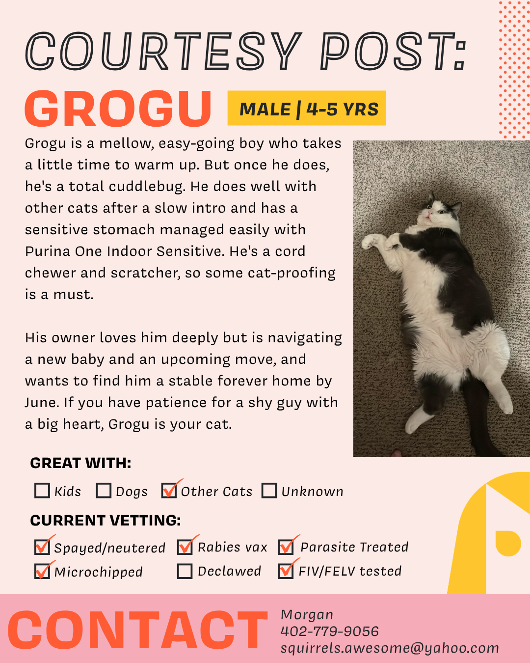Grogu.png
