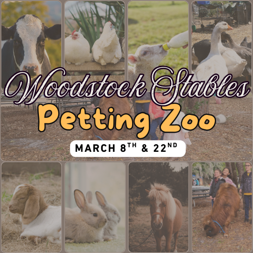 Woodstock Stables Petting Zoo at Nona Adventure Park