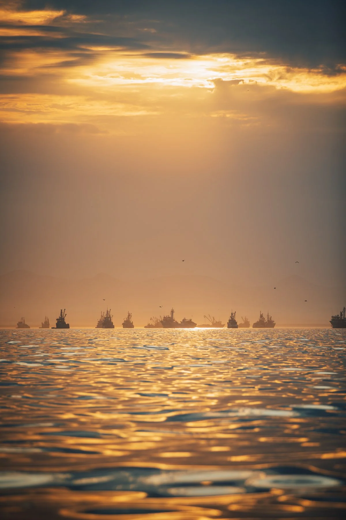 043A6713-Enhanced-NR.jpg