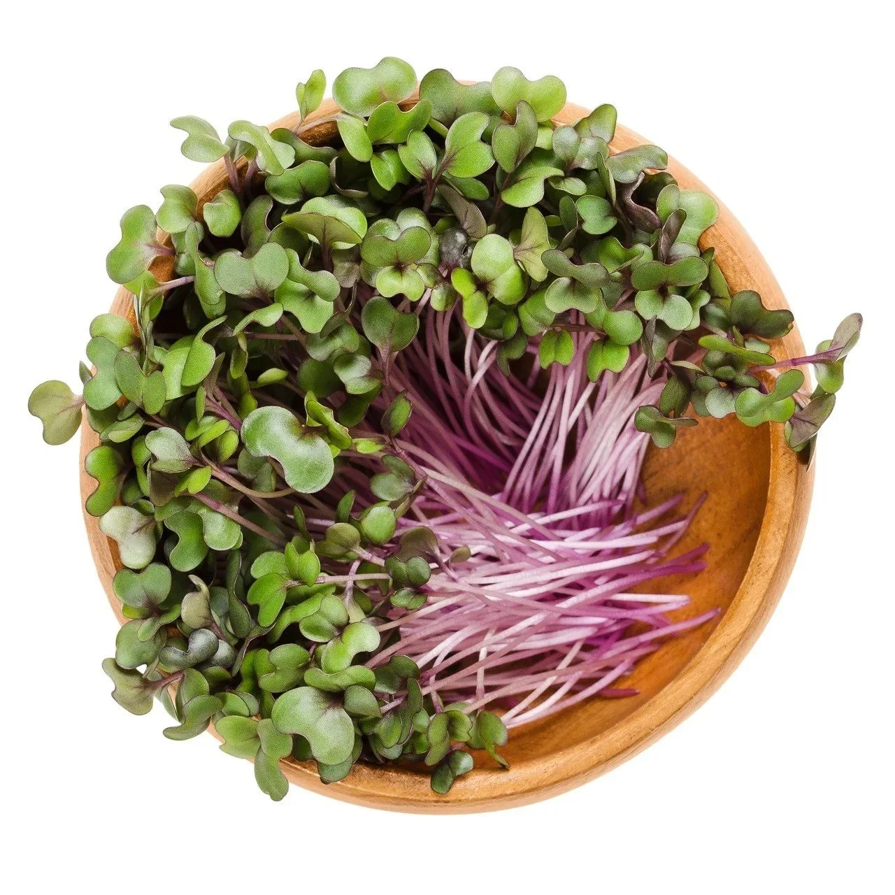 Red Acre Cabbage Microgreens.jpg