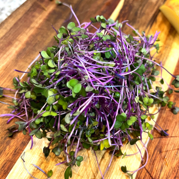 Purple-Vienna-Kohlrabi (2).png