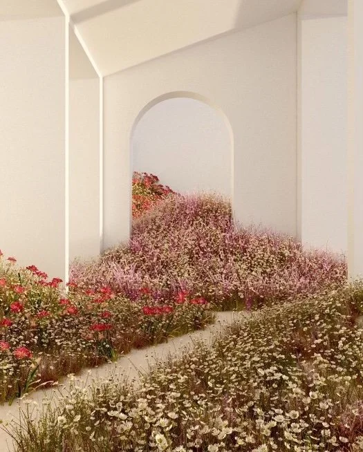 Palace Aesthetics: A Beauty Collective