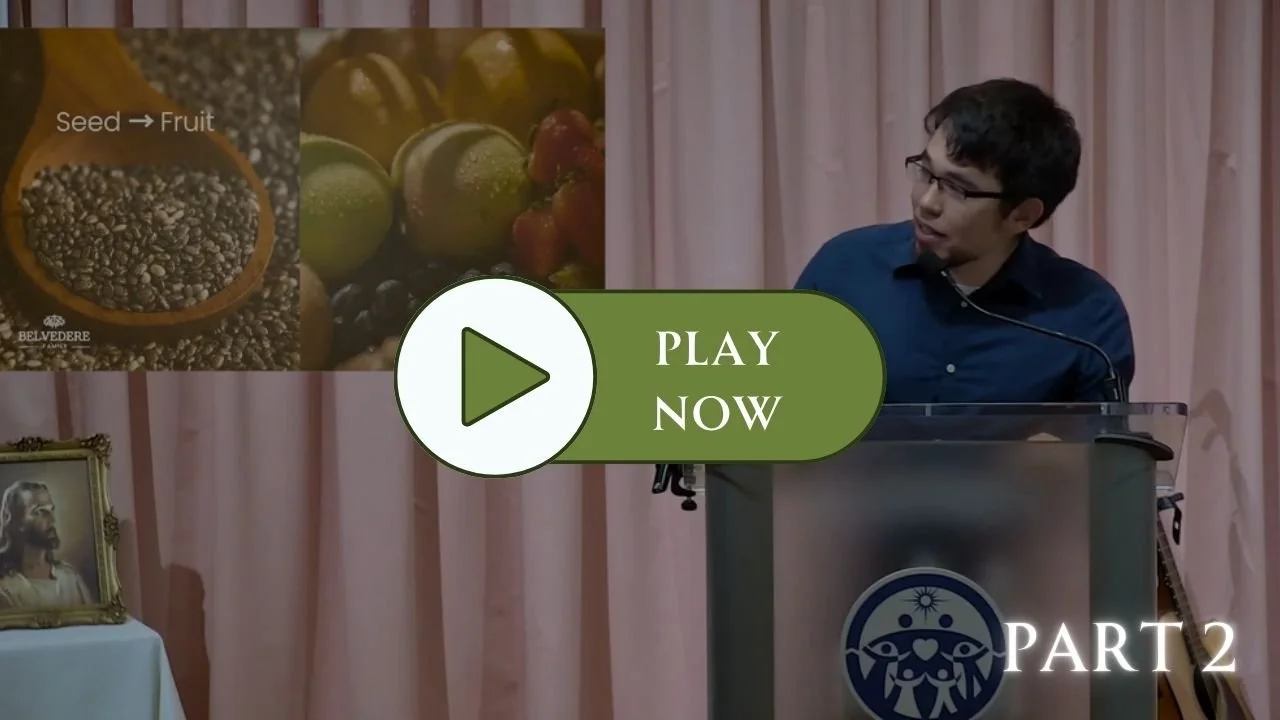 From Seed to Fruit 2/4