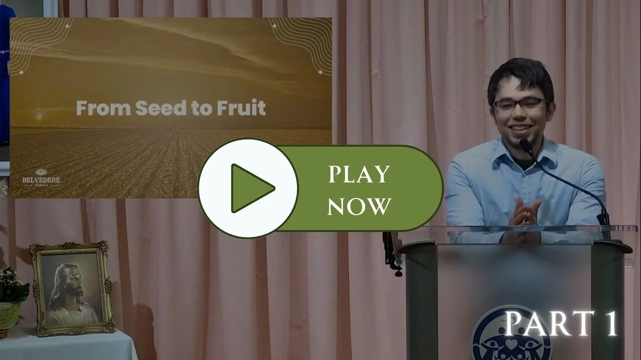 From Seed to Fruit 1/4