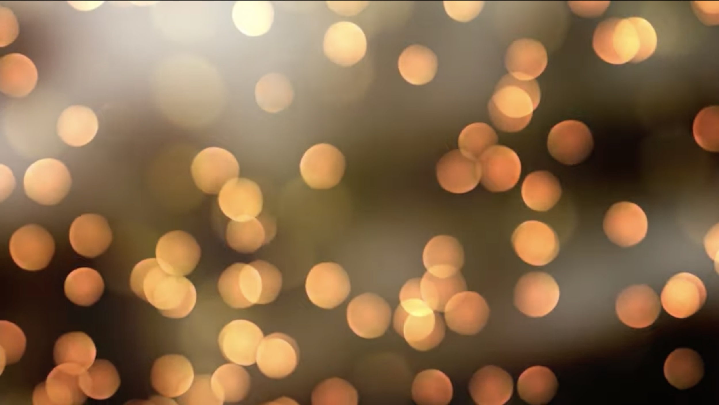 Screenshot 2024-02-06 at 11.39.29 AM.png