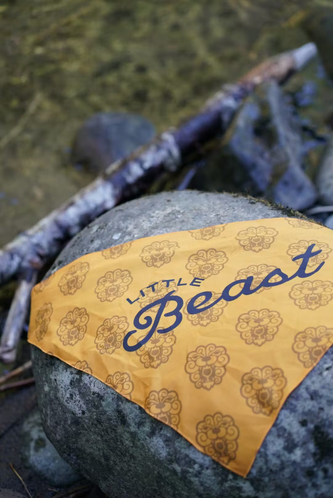 Dog Bandana2.png
