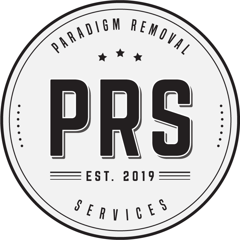 Paradigm Removal