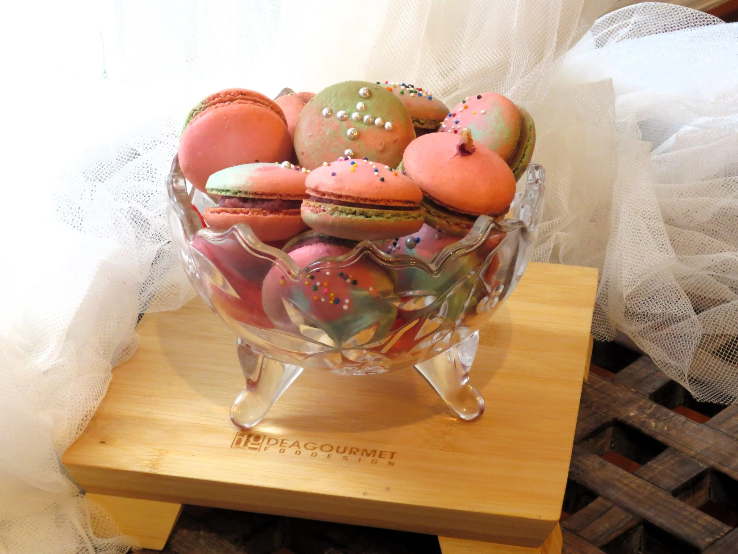 IMG-6916.JPG