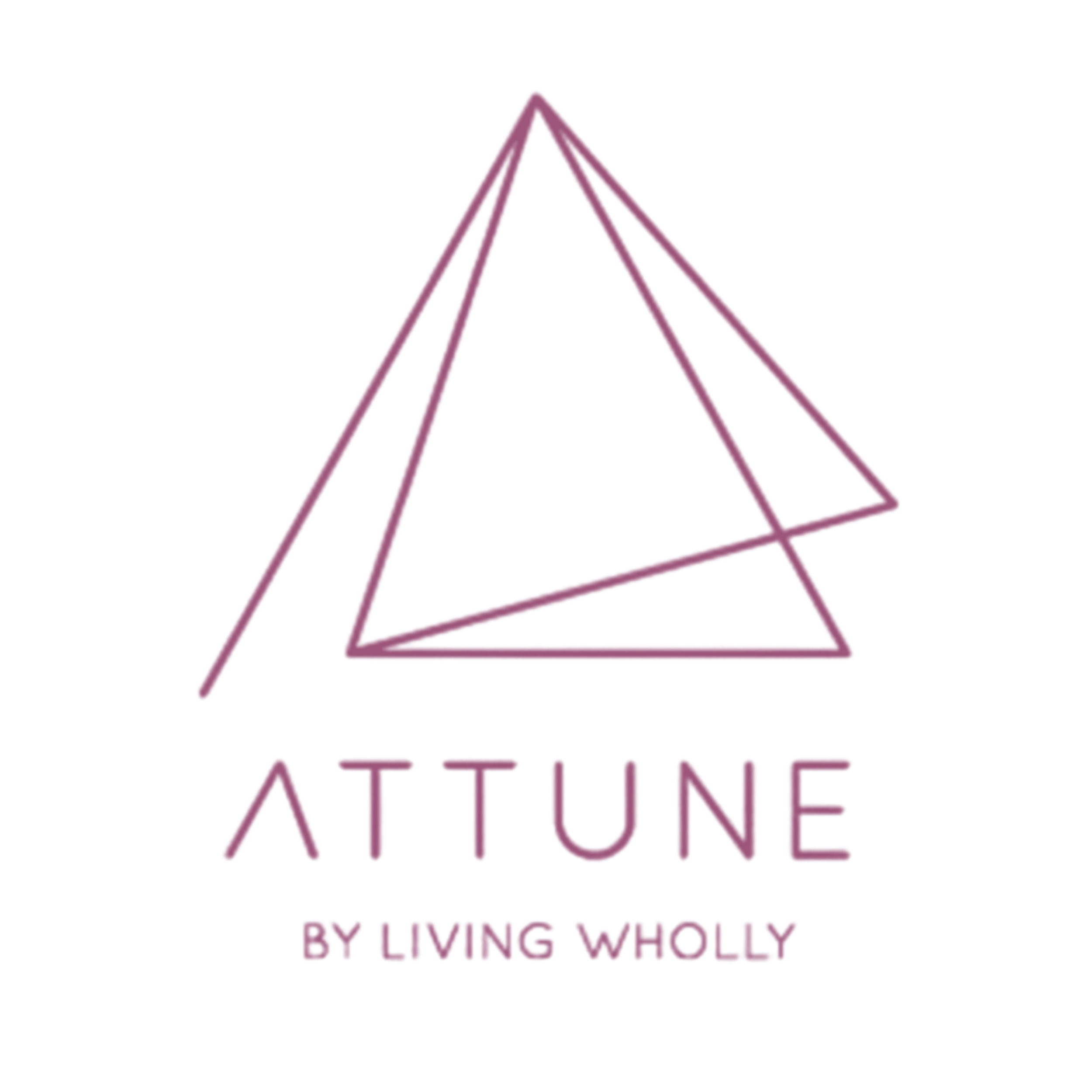 Attune: Scaled start-up from afternoon pop-ups to a 4-day national event