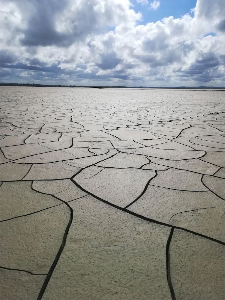 Capture d’écran 2024-01-22 à 19.25.45.jpg