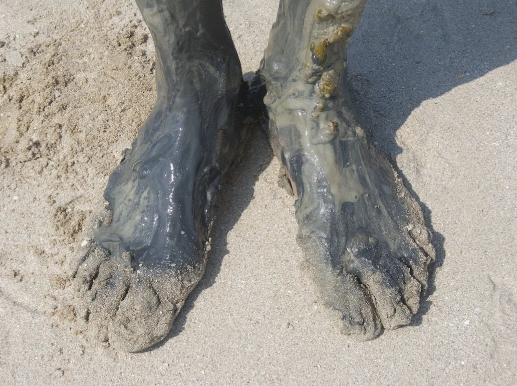 Capture d’écran 2024-01-22 à 18.21.47.jpg