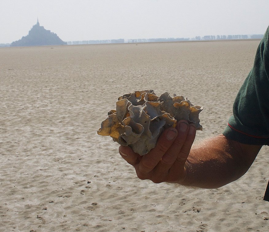 Capture d’écran 2024-01-22 à 18.57.29.jpg