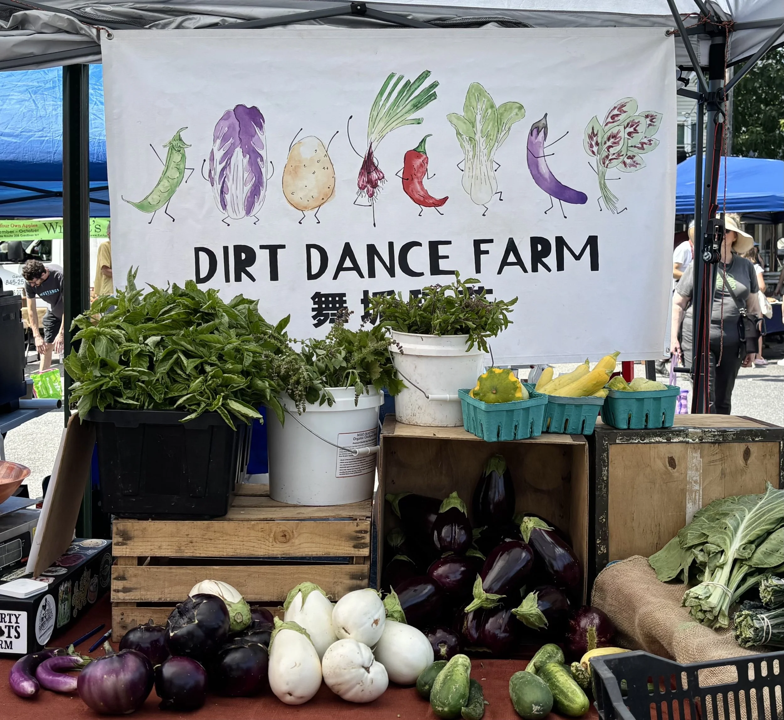 Dirt Dance Farm
