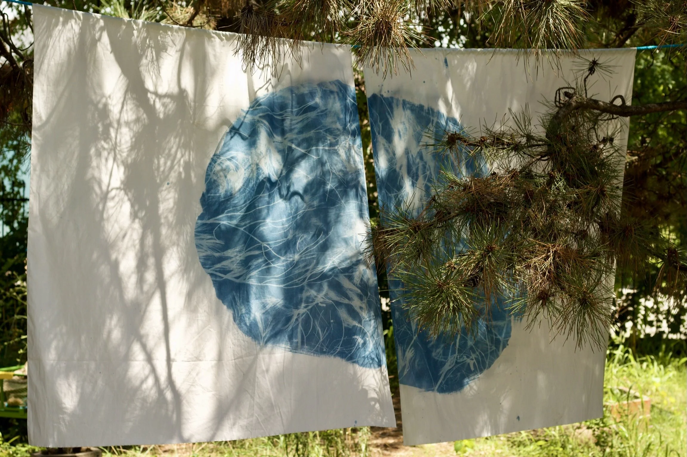 Pine Portal at Northside Workshop