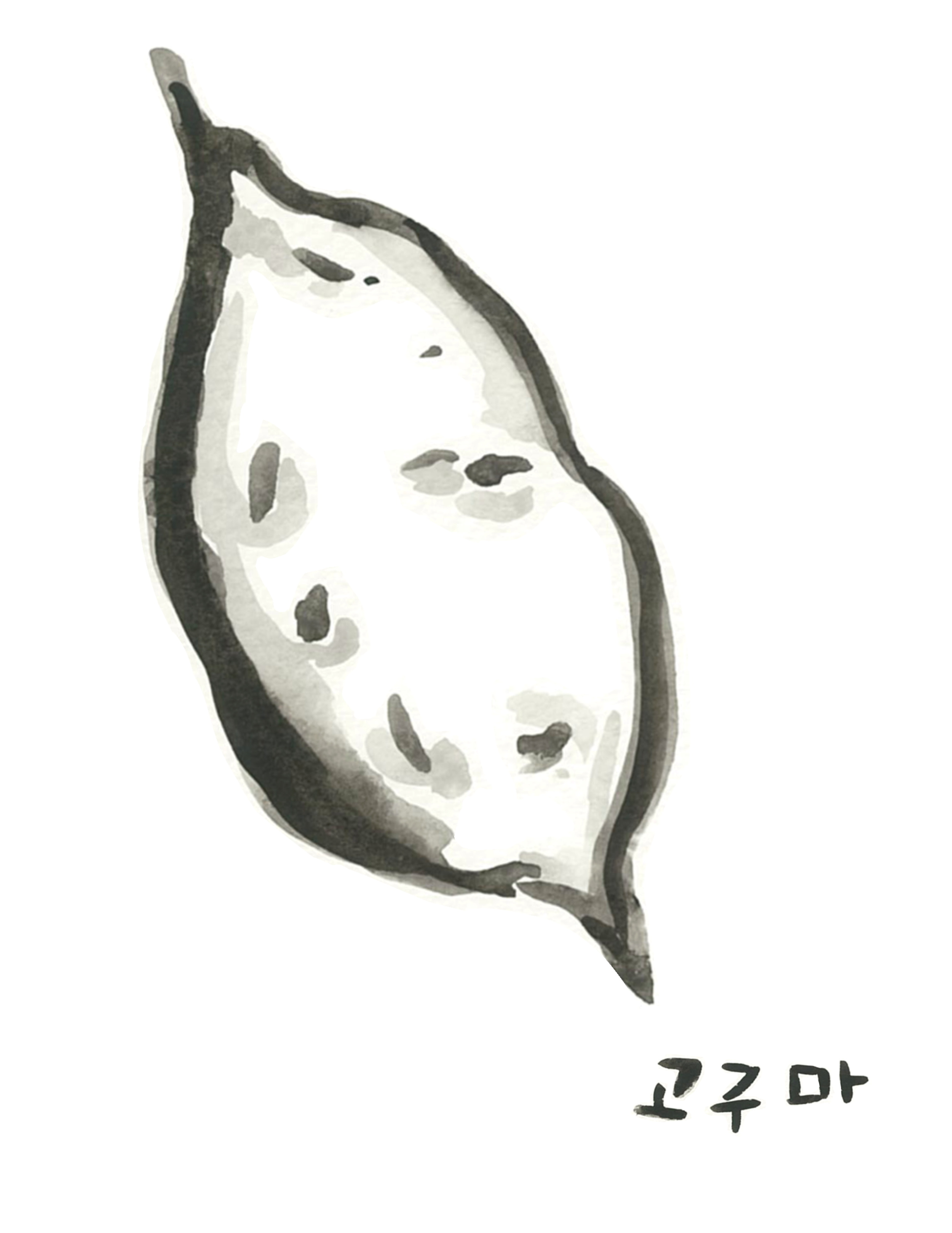 13.png